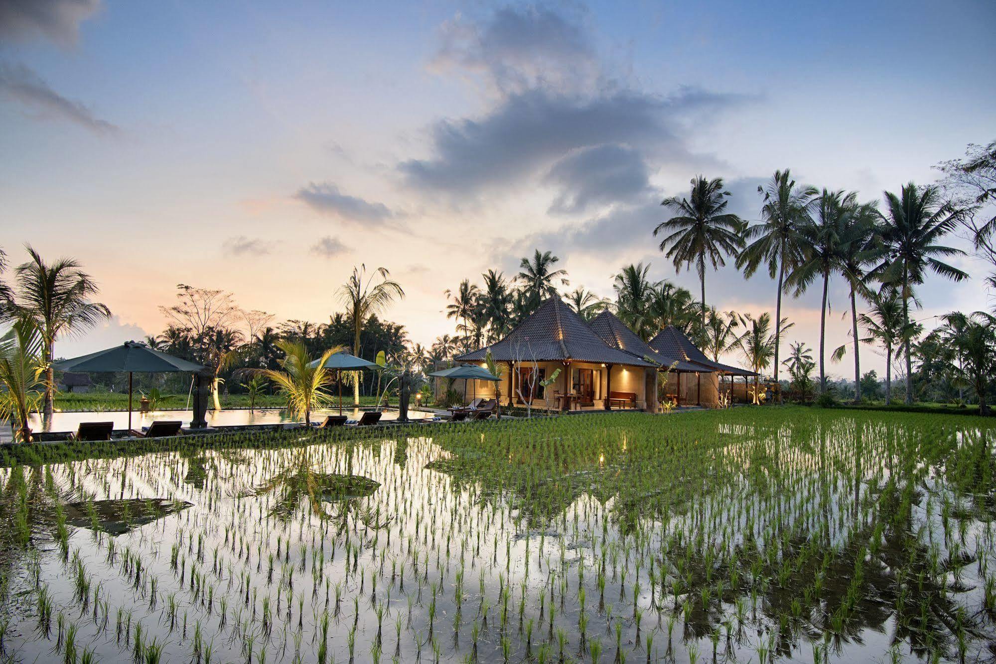 Pajar House Ubud Suite & Villas Ngoại thất bức ảnh