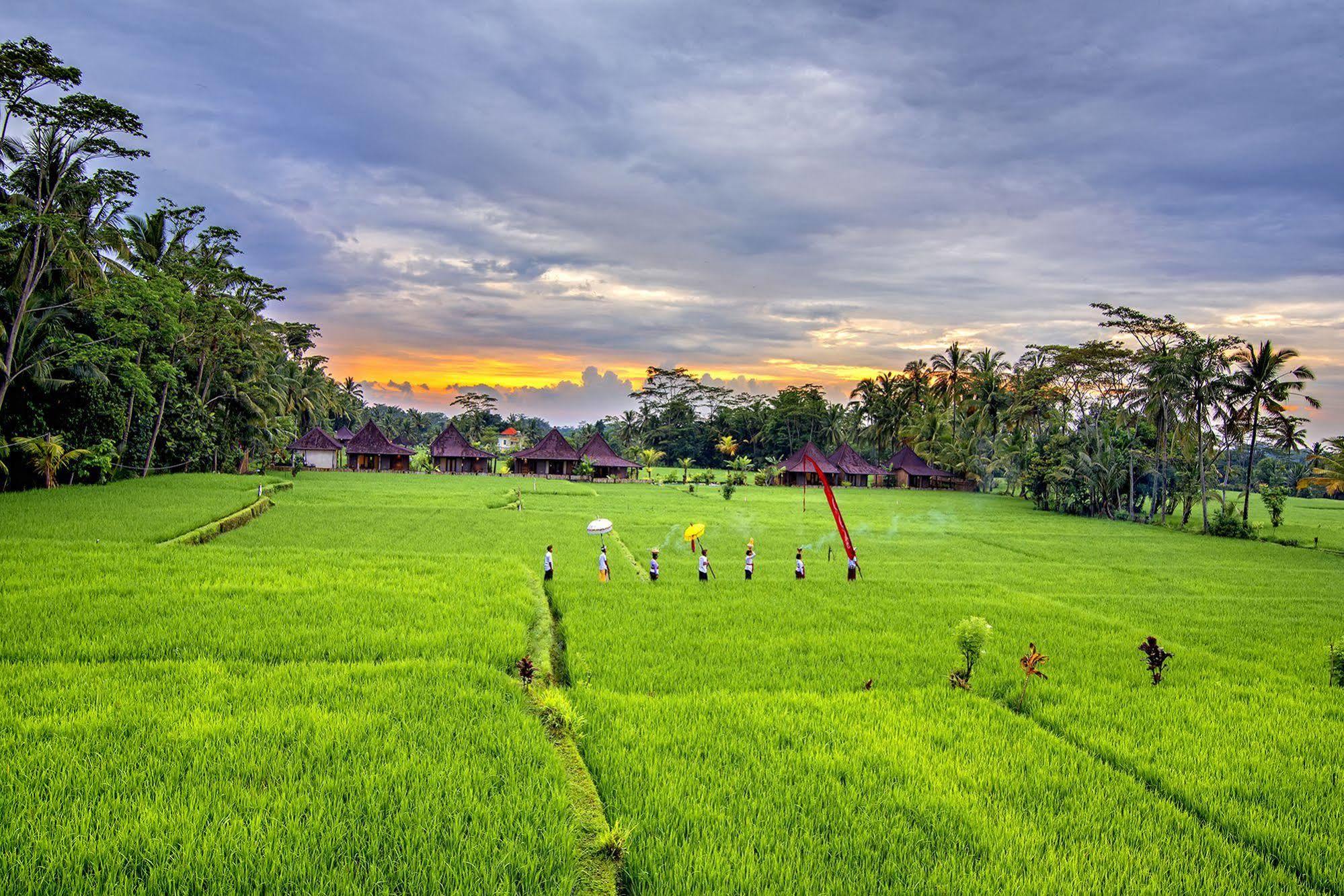 Pajar House Ubud Suite & Villas Ngoại thất bức ảnh